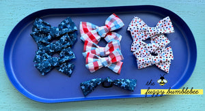 Patriotic 2023 Piggies